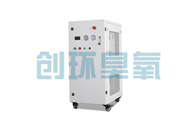 琼中比传统换水更高效?臭氧发生器在石斑鱼养殖中的水质净化原理解析